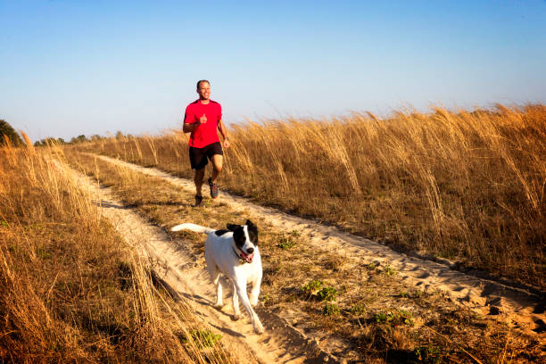 человек бег трусцой с собакой. - jogging cross country running hiking outdoors стоковые фото и изображения
