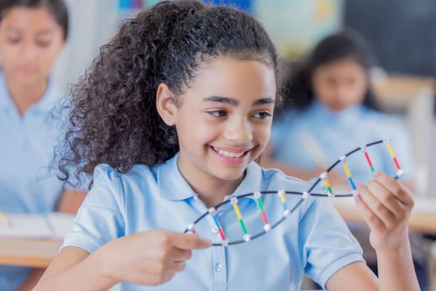 istock Pretty mixed race girl examines DNA helix model 671034862