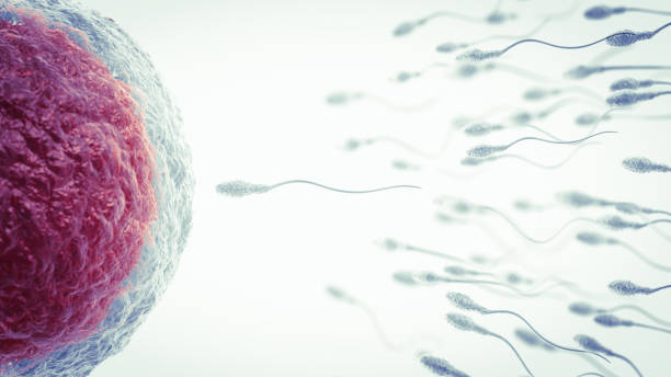 Only One Insemination. Genetics background. 3D Render sperm stock pictures, royalty-free photos & images