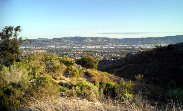 istock A Snapshot of the Suburbs 671038890