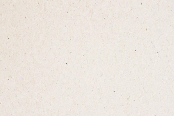 istock Paper texture cardboard background close-up. Grunge old paper surface texture 671058442