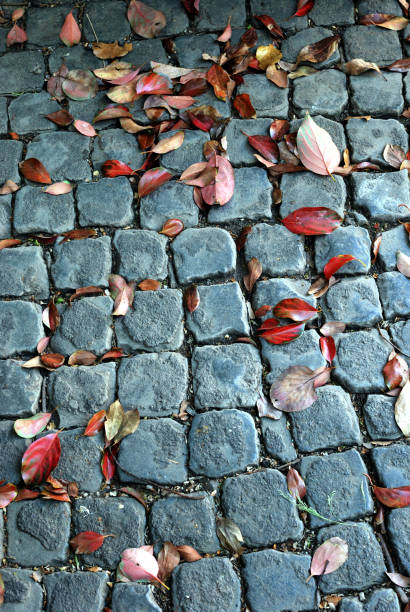 istock Red leaves on the road 671062484