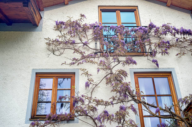 istock Beautiful facade of a house 671072046