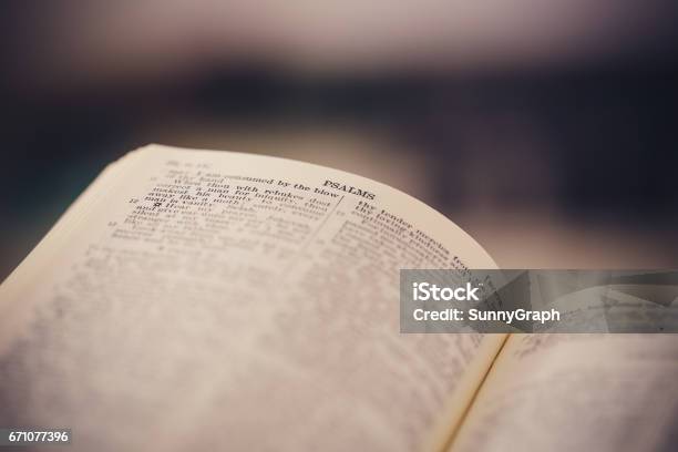 Closeup Shot Of Open Bible Stock Photo - Download Image Now - Bible, Page, Open