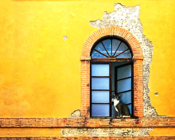 Window on Colorful Wall in Siena Italy Open window and outside weathered facade of colorful yellow home in Siena Italy siena italy stock pictures, royalty-free photos & images