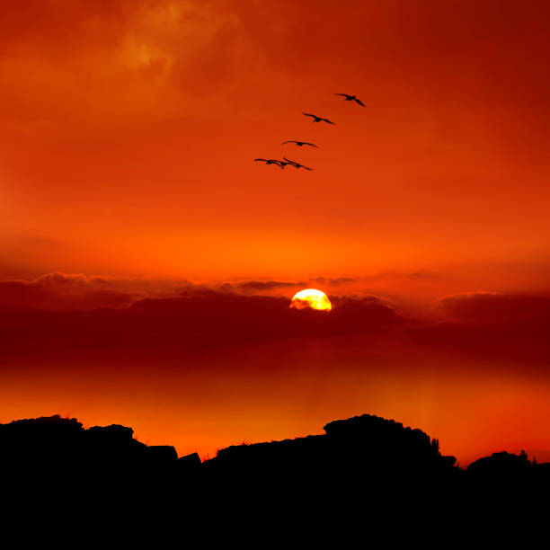 istock sunset and the  birds flying 671083894
