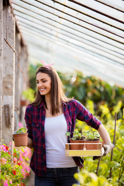 istock Young woman working at the plant nursery 671084884