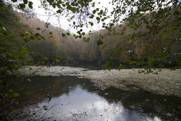 istock Yedigoller National Park. 671092768