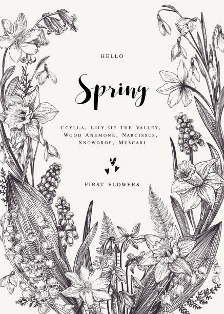 Card with spring flowers. Floral wreath with spring flowers. Vector vintage botanical illustration. Black and white. lily of the valley garden stock illustrations