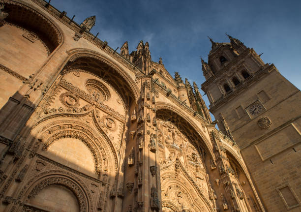 istock Cathedral of Salamanca, Spain 671101482