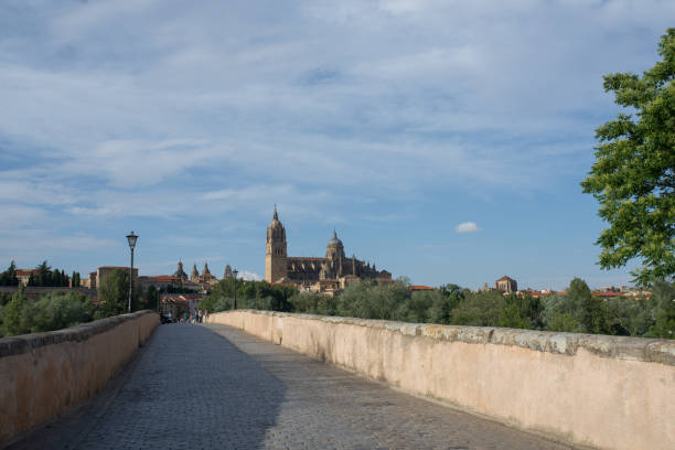 istock Roman bridge in Salamanca 671101590