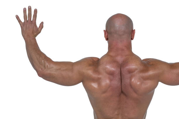 istock Rear view of bodybuilder with arms outstretched 671104544