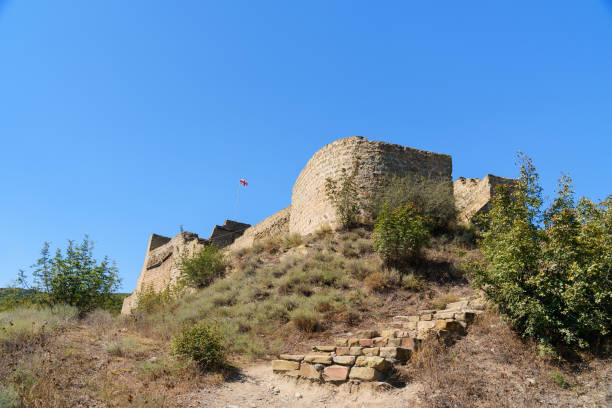 bebris tsikhe fortaleza en mtskheta, georgia - mtskheta fotografías e imágenes de stock