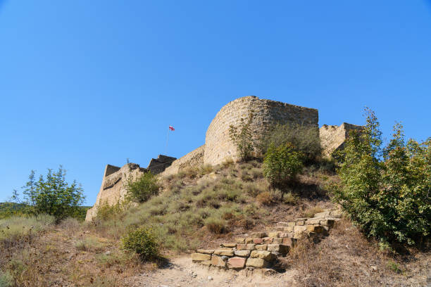 ムツヘタ、ジョージア州の bebris tsikhe 要塞 - mtskheta ストックフォトと画像