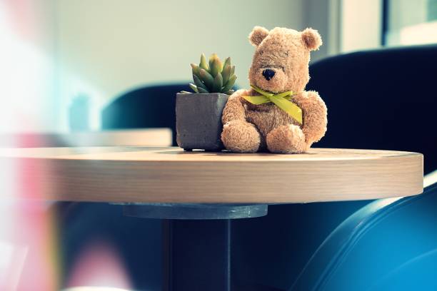 Lonely bear is sitting alone waiting for you