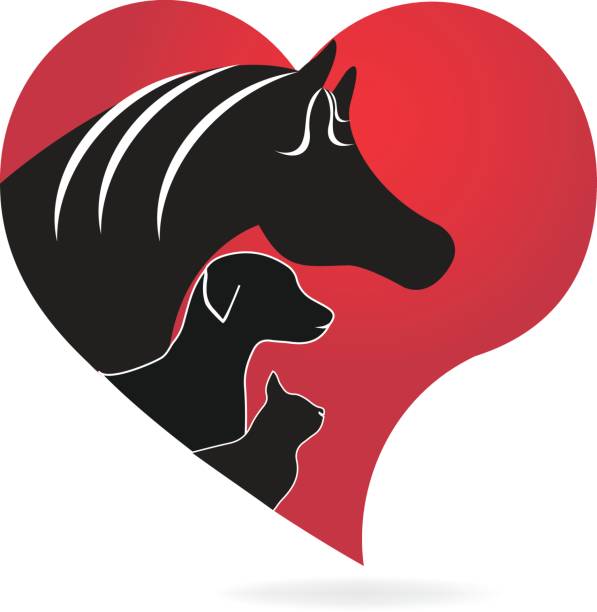 istock Horse cat and dog red heart love icon 671123776