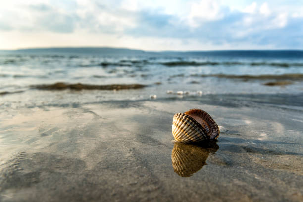 Soft wave of blue ocean on sandy beach.Canakkale/Turkey,20.1.2015