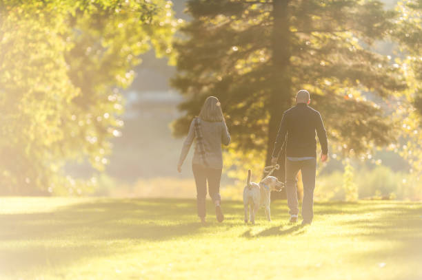 istock Young couple walking dog on beautiful summer evening 671139918