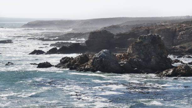 istock Rugged coastline of the South African west coast medium 671146614