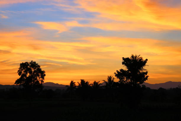 istock sky in sunset and cloud, beautiful colorful evening nature space for add text 671149736