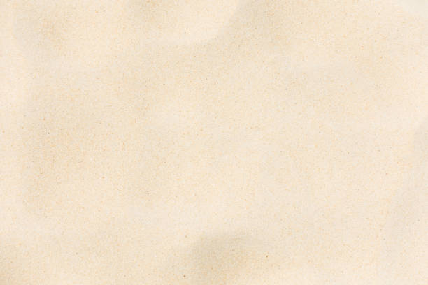 istock White sand on the the beach as background 671152924