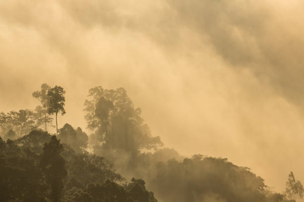 istock Morning Mist at Tropical Mountain Range,Thailand 671157018