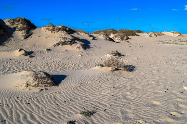 istock Djerba island Mediterranean seashore. Ras Rmel peninsula 671159800