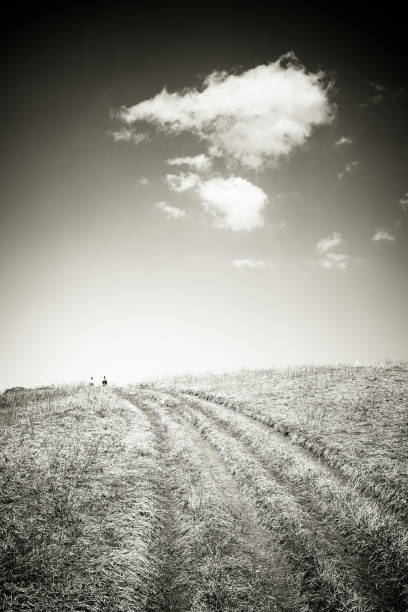 istock Beautiful spring landscape. Golden meadow, path,  deep blue sky, horizont and two hikers silhouette. Jablanik mountain, Serbia, Europe 671163466