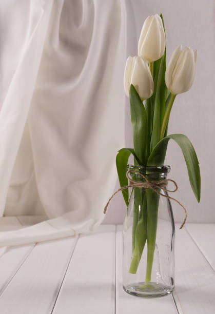 istock White tulips in glass bottle(vases). Home interior decoration 671167076