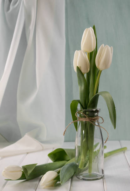 istock White tulips in glass bottle(vases). Home interior decoration 671167094