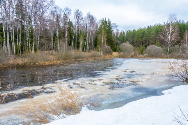 istock Beautiful spring landscape with a small lake covered with ice. 671170522