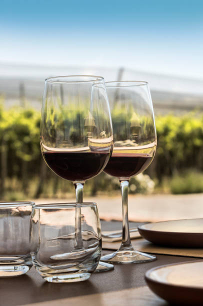 istock Glasses of red wine 671173728