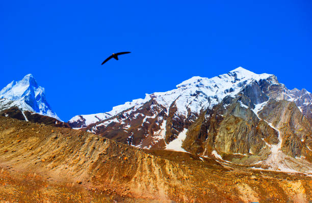 istock Beautiful Mountains in Himalaya 671184250