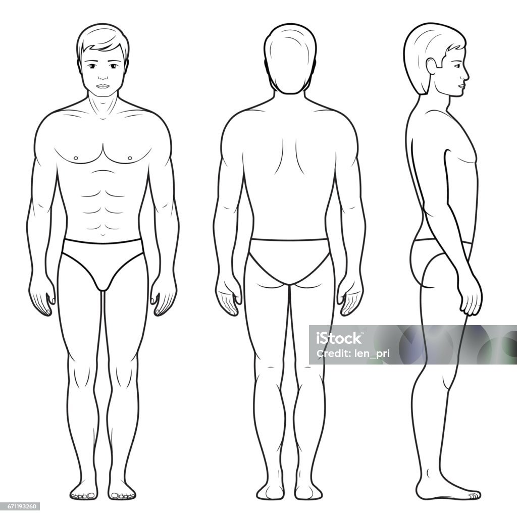 Illustration of male figure Vector illustration of male figure - front, back and side view in outline Male Likeness stock vector