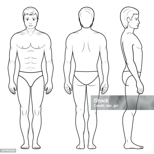 Illustration Of Male Figure Stock Illustration - Download Image Now - Male Likeness, Outline, The Human Body