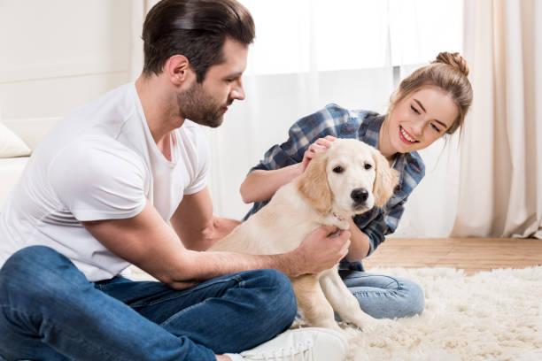 istock Young couple with puppy 671203088