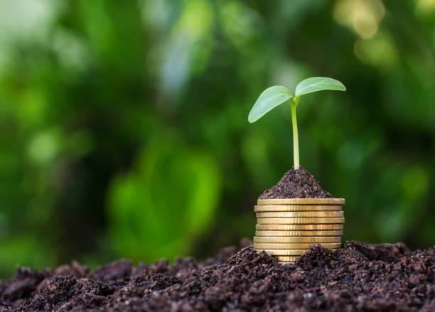 Stacked coins placed on the soil and seedling on top. stock photo