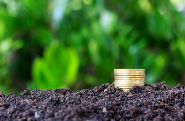 istock Medal tiles for a bar graph. The volume increase on soil. 671203334