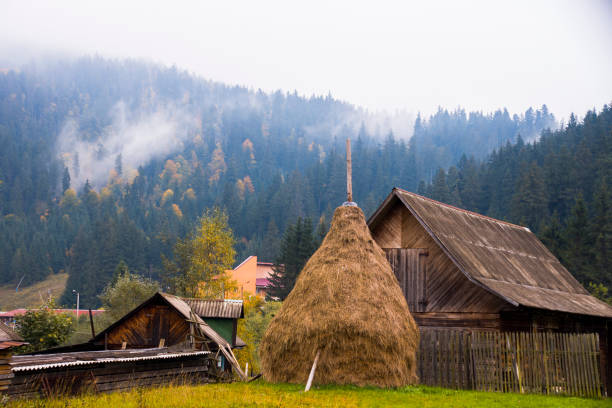 Carpathian mountains summer landscape with blue sky, clouds, haystack and old rusty agricultural instrument, natural summer background