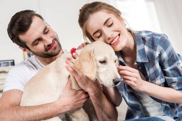 istock Young couple with puppy 671207810