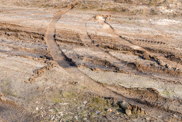 istock Deep tires tracks in the sandy mud 671220770