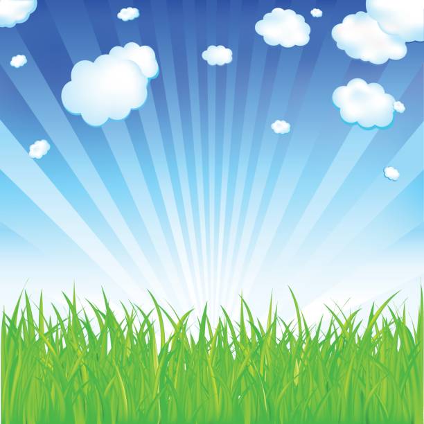 Cartoon Spring Grass 20+ Springgrass Stock Photos, Pictures & Royalty-Free Images - iStock