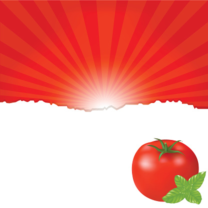 Red Tomato, Isolated On White Background, Vector Illustration