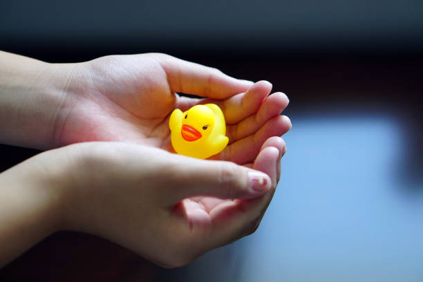 istock Closeup of tiny rubber duck or duckling in little girl hands. 671237134