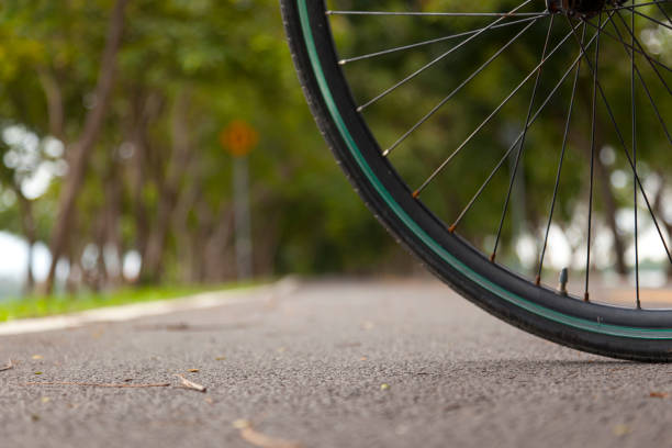 bicycle wheel  and road in the park