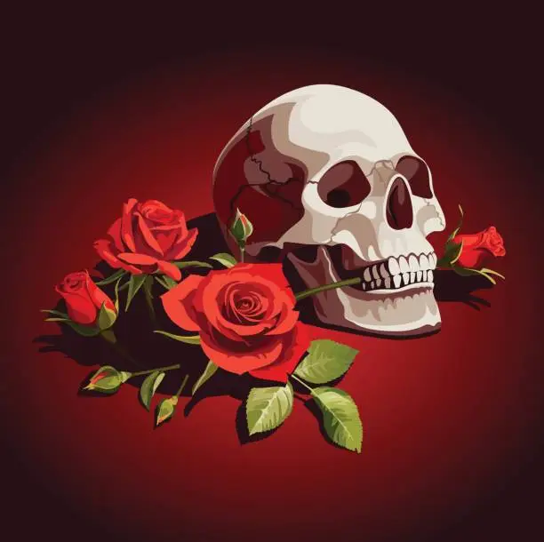 Vector illustration of Illustration with skull and red roses on a dark background