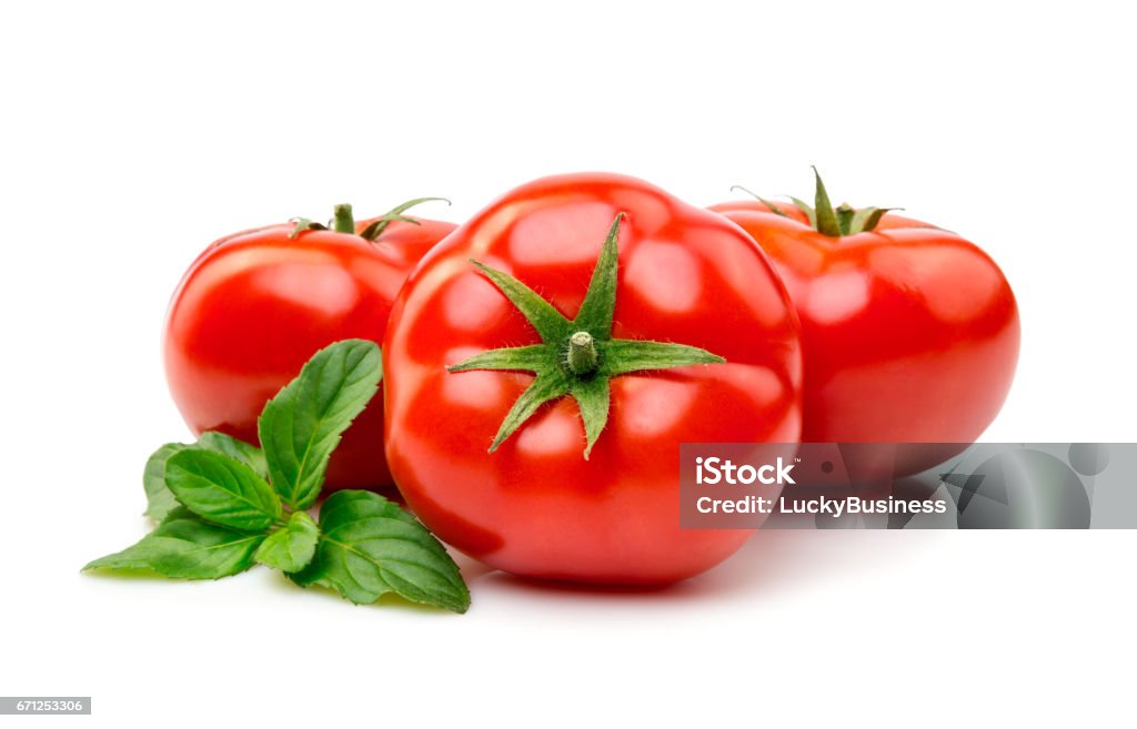 Tomato with basil isolate Fresh tomatoes with basil isolate Tomato Stock Photo