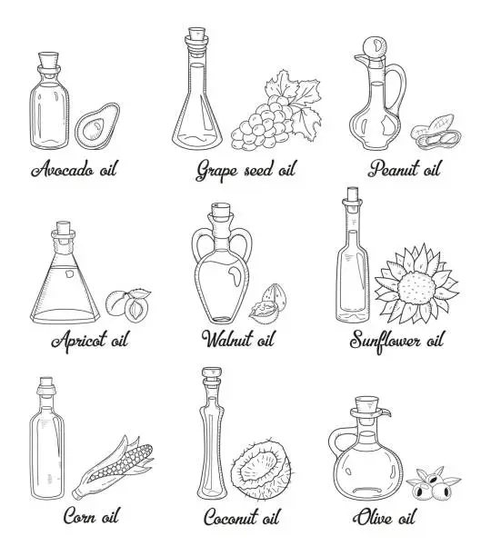 Vector illustration of 9 isolated doodle cooking oils