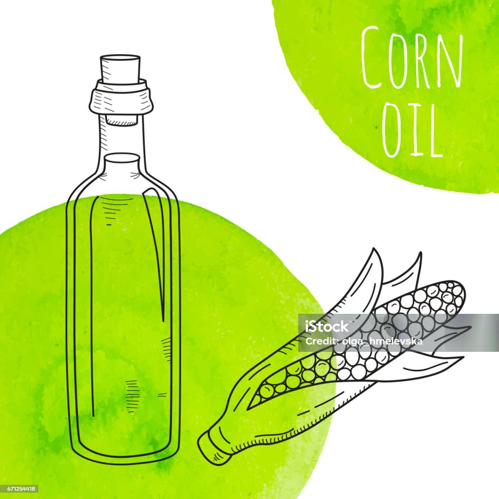 Dessiné de main bouteille d’huile de maïs avec des taches verts aquarelles - clipart vectoriel de Acide libre de droits
