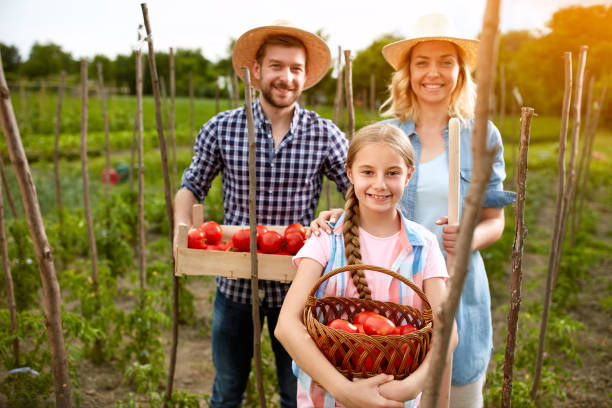 istock Smiling farmers with tomatoes in garden 671260274